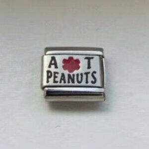 Allergic to Peanuts medical alert laser 9mm stainless steel Italian charm link